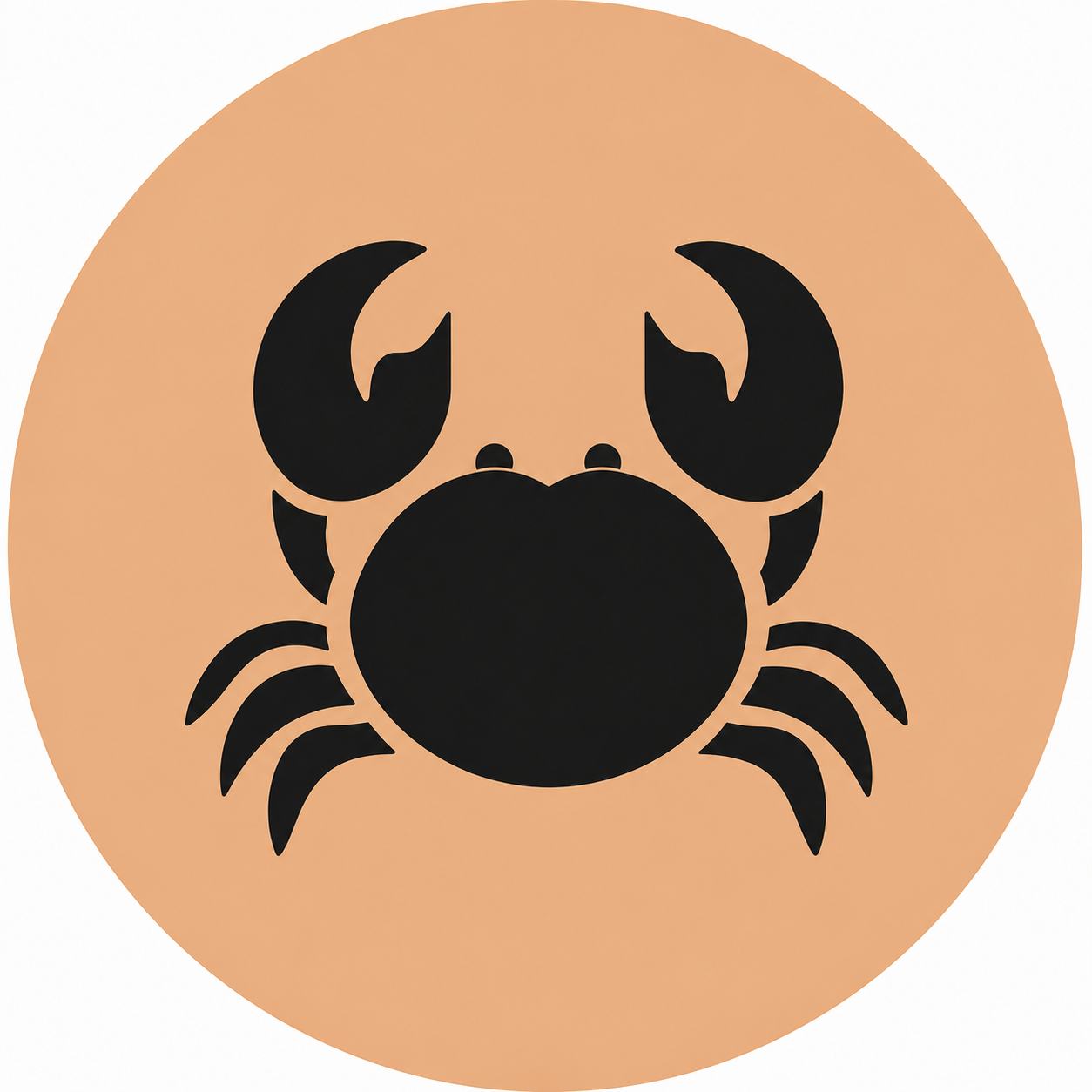 Assise en contreplaqué bouleau et linoléum motif crabe noir sur fond beige. Produit fabriqué par Hey Ben !, atelier d'ébénisterie à Loix sur l'île de ré fondé par Benoît Maltier