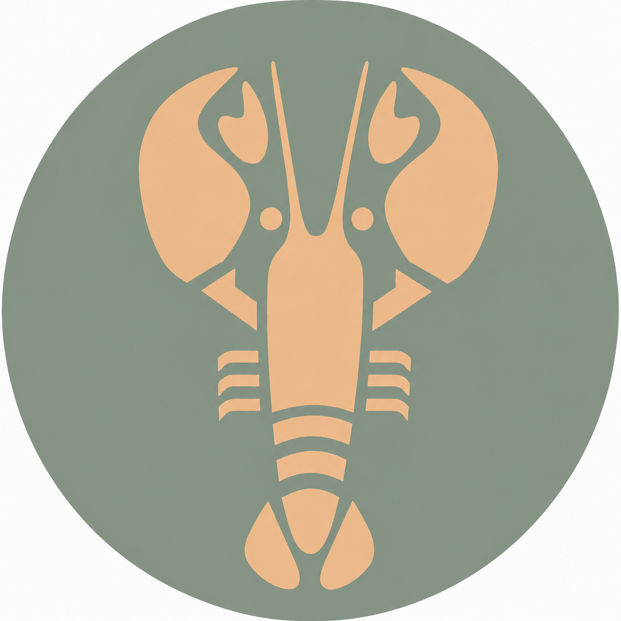 Assise en contreplaqué bouleau et linoléum motif homard beige  sur fond vert sauge. Produit fabriqué par Hey Ben !, atelier d'ébénisterie à Loix sur l'île de ré fondé par Benoît Maltier