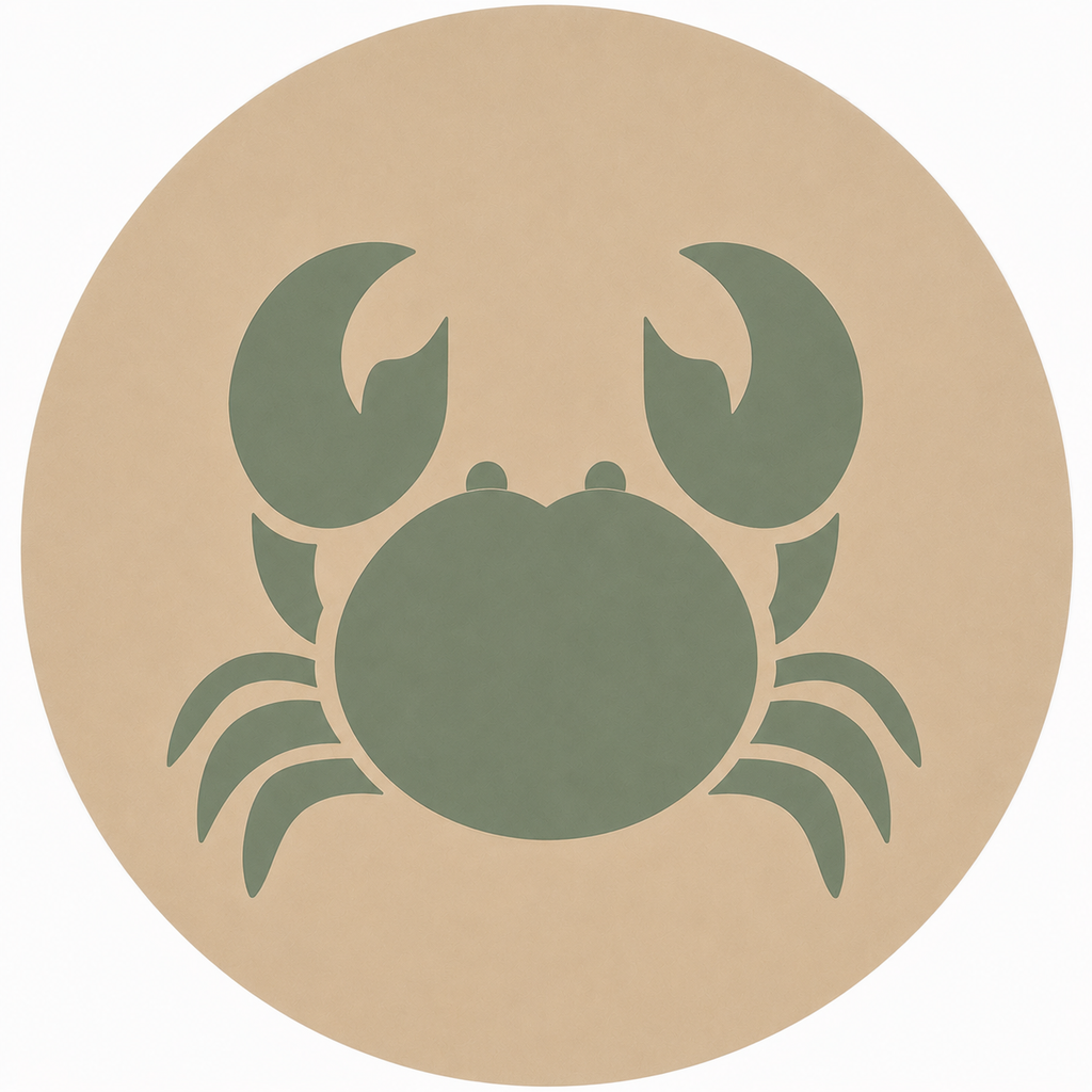Assise en contreplaqué bouleau et linoléum motif crabe vert sauge sur fond beige. Produit fabriqué par Hey Ben !, atelier d'ébénisterie à Loix sur l'île de ré fondé par Benoît Maltier